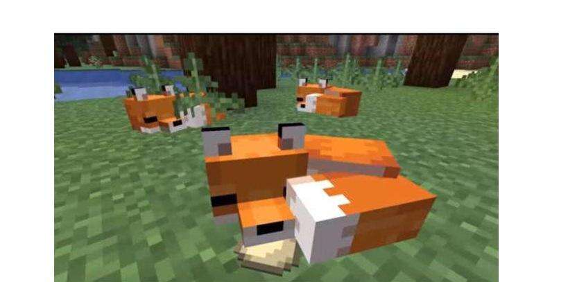 我的世界怎么驯服狐狸 181我的世界专区