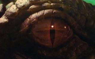 孤岛惊魂系列CG合集 Far Cry游戏CG动画全收录