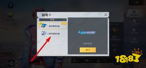 和平精英二周年称号怎么换 精英玩家称号更换方法
