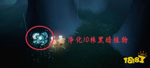 光遇5月10日日常任务怎么做 5月10日日常任务完成攻略