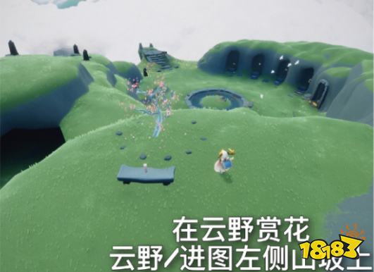 光遇5月11日任务怎么做 5月11日每日任务攻略