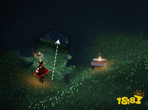 光遇请去雨林树屋集合在哪里 请去雨林树屋集合位置介绍