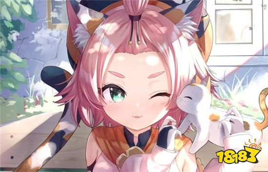 原神现版本被淘汰的平民主C 流水的主C铁打的辅助