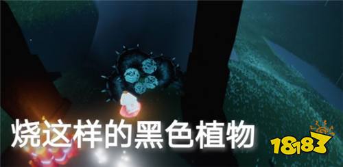 光遇5月18日日常任务怎么做 5月18日日常任务完成攻略