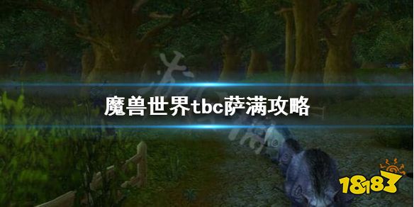魔兽世界tbc萨满好不好用 tbc阶段萨满攻略