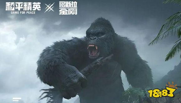 和平精英怎么设置隐身登录 隐身登录设置方法