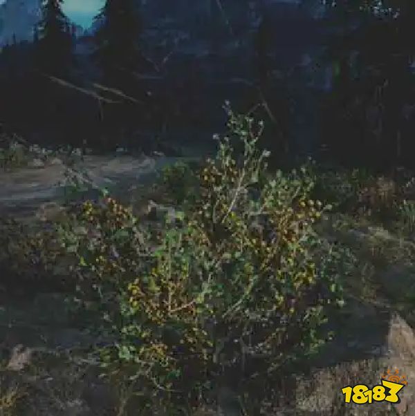 往日不再金醋栗药草收集点与地图示意