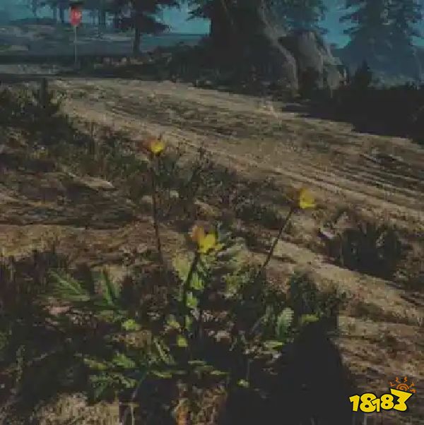 往日不再蕨麻药草收集点与地图示意