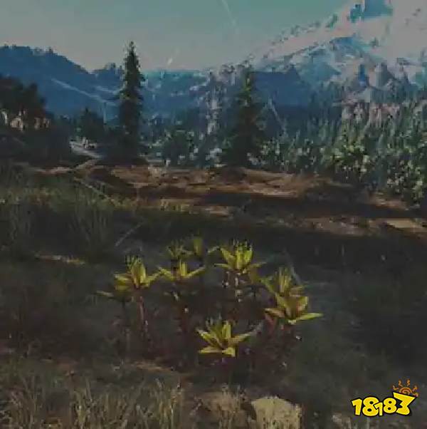 往日不再景天草药草收集点与地图示意