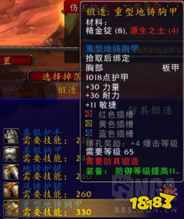 魔兽世界怀旧服TBC防骑专业怎么选 TBC防骑专业选择推荐