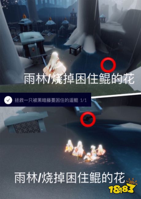 光遇6月4日日常任务怎么做 6.4日常任务完成攻略