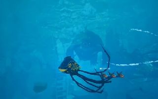 生化变种boss莫克波夫怎么打