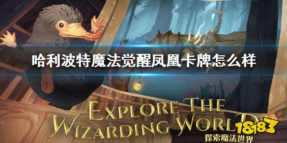 哈利波特魔法觉醒凤凰卡牌强不强 凤凰卡牌属性介绍