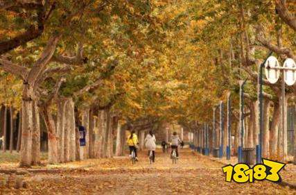 高考志愿怎么选？4所行业特色公办本科院校对比