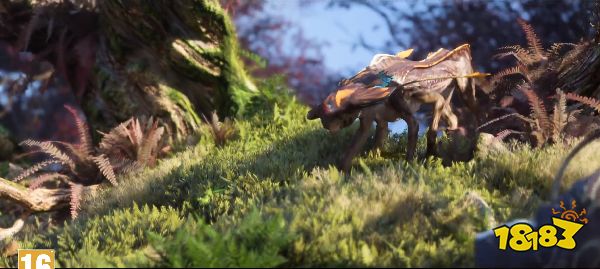 阿凡达：潘多拉边境steam上叫什么 阿凡达：潘多拉边境英文名分享