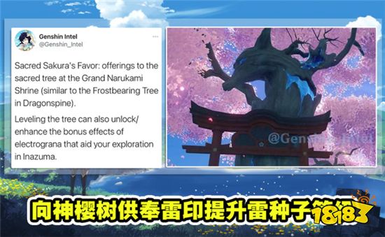 原神稻妻新情报被内鬼曝光 稻妻将会新增三个秘境