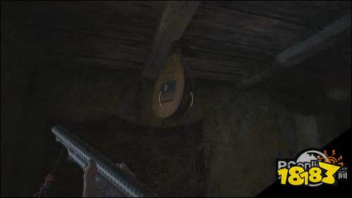 生化危机8鱼村地图遗漏物品收集汇总分享