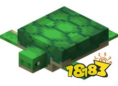 我的世界海龟怎么繁殖 海龟繁殖方法分享