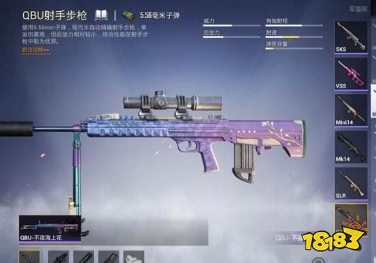 和平精英中哪一把射击步枪最好用呢 说说自己看法