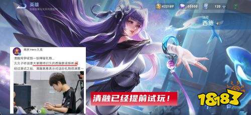 王者榮耀S24第一個擁有8皮膚的英雄出現了 世冠趙云確定
