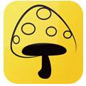 蘑菇丁官方版下载