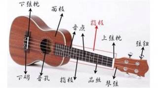 尤克里里零基础入门 新手基础指法教程