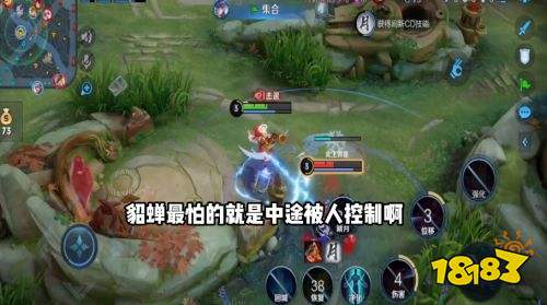 王者榮耀S24賽季有哪些英雄最不需要閃現 不需要閃現英雄