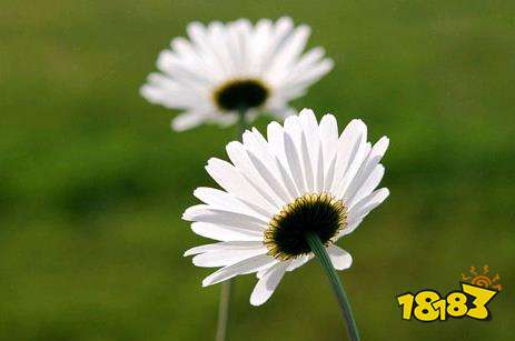 江苏省高校毕业生三支一扶面试将在9月25日开始