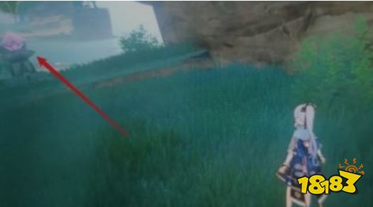 原神九条阵屋地下怎么进