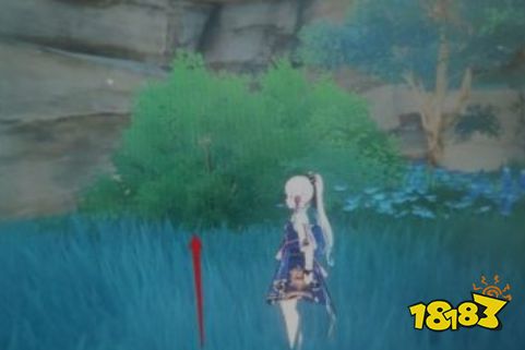 原神九条阵屋地下怎么进