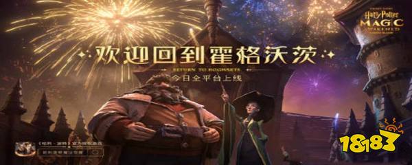 哈利波特可以换性别吗