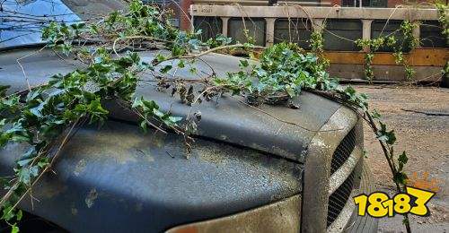 最后生化者电视剧片场照曝光 末世场景完美还原