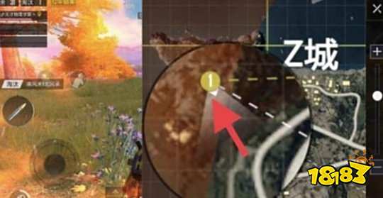 和平精英枫叶林回归,和平精英枫叶林还玩吗