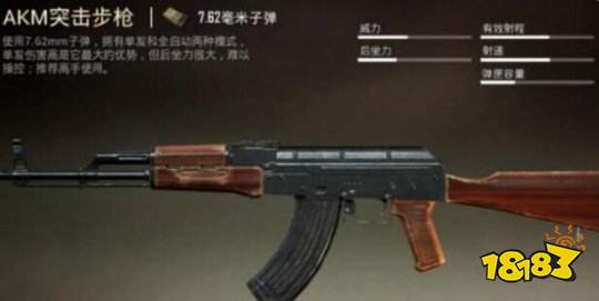 和平经营两把武器怎么搭配，和平经营第二把武器选什么