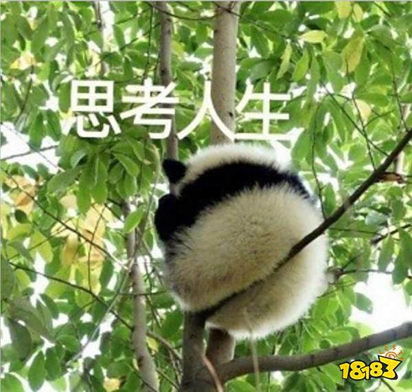 LOL手游中怎么玩好打野?一篇文章教会你