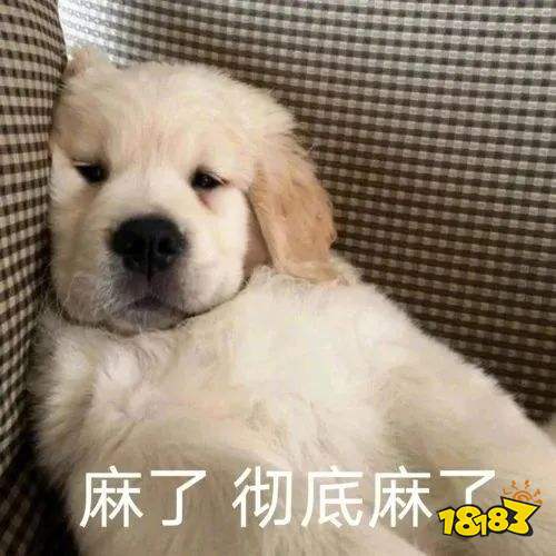 三冰的中国心，VG让一追二翻盘EG  LGD、秘密碾压对手晋级胜决