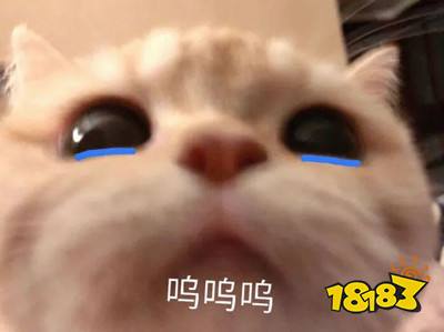 三冰的中国心，VG让一追二翻盘EG  LGD、秘密碾压对手晋级胜决