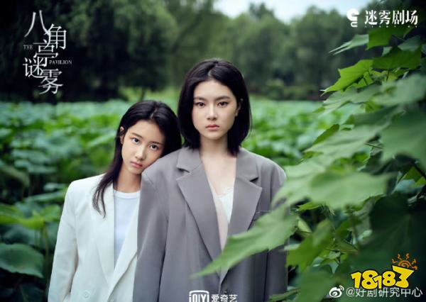 八角亭谜雾第十二集大结局介绍:十九年迷雾散去