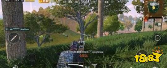 和平精英新手经历过哪些糗事，和平精英新手糗事的介绍