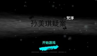 孙美琪疑案梵净全通关流程视频攻略