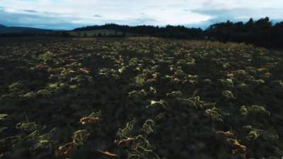 帝国时代4正式版铁骑纵横！蒙古帝国战役试玩视频