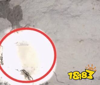 孙美琪疑案梵凈三级线索字据在哪里 字据寻找位置攻略