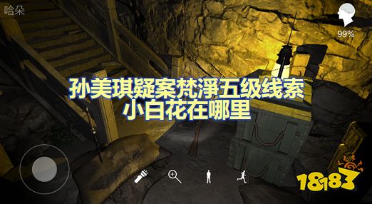 孙美琪疑案梵净小百花在哪 五级线索小百花位置图文攻略