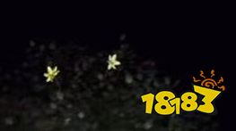 孙美琪疑案梵净小百花在哪 五级线索小百花位置图文攻略