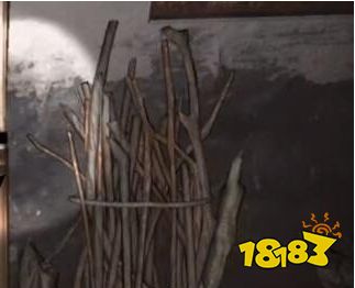 孙美琪疑案竹竿在哪里 五级线索竹竿位置图文攻略