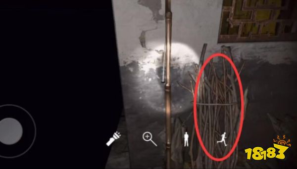 孙美琪疑案梵净木柴在哪里 五级线索木柴位置图文攻略