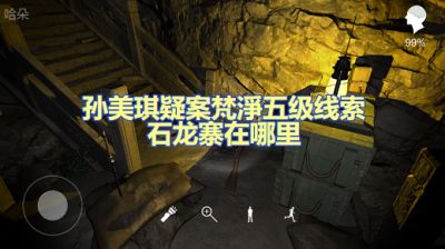 孙美琪疑案梵净石龙寨在哪里 五级线索世龙寨解锁攻略