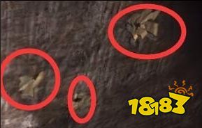 孙美琪疑案梵淨枪眼在哪里 五级线索枪眼位置图文攻略