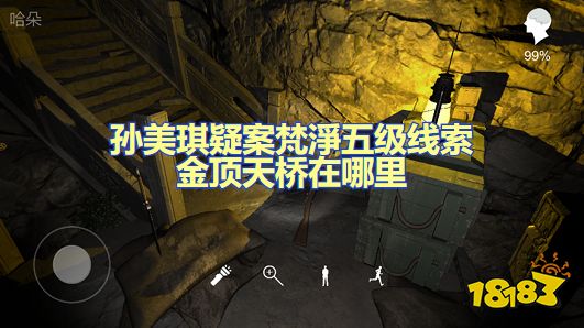 孙美琪疑案梵淨金顶天桥在哪里 五级线索金顶天桥位置图文攻略