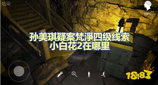 孙美琪疑案梵淨小百花在哪里 四级线索蓝色花蕊位置图文攻略